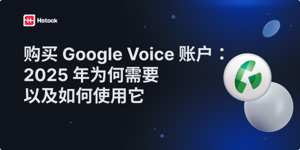 购买 Google Voice 账户：2025 年的用途与使用方式