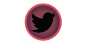 ★Premium Quality ● Twitter ● 100 subscribers  ● SMS Confirmed  ● Fully Filled★